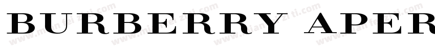 Burberry Apercu Bold字体转换
